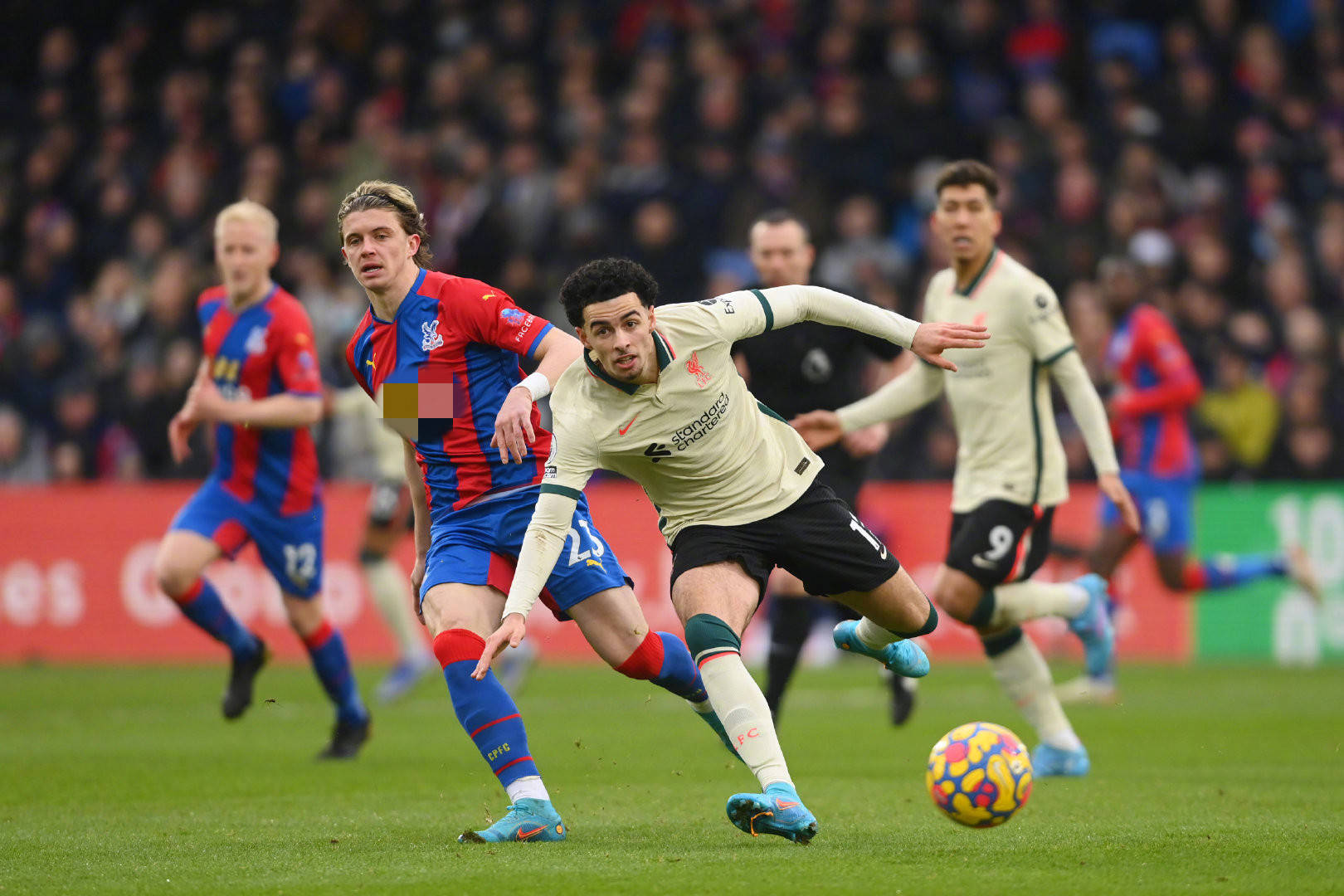 牙拉练不仅 牙拉练不仅